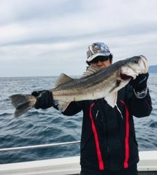 シーモンキー 釣果