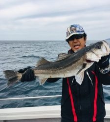 シーモンキー 釣果