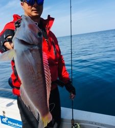 シーモンキー 釣果