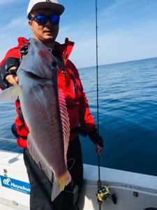 シーモンキー 釣果