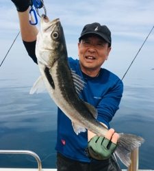 シーモンキー 釣果