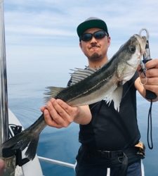 シーモンキー 釣果