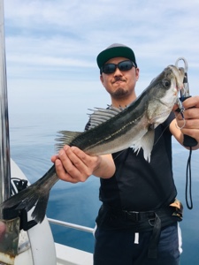 シーモンキー 釣果