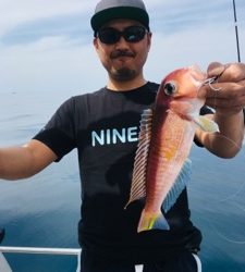 シーモンキー 釣果