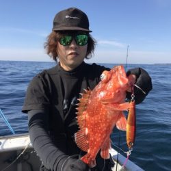 たいし丸 釣果
