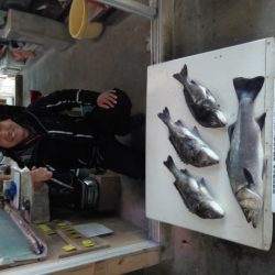 ふじや釣舟店 釣果