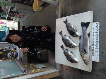 ふじや釣舟店 釣果