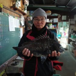 ふじや釣舟店 釣果