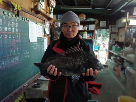 ふじや釣舟店 釣果
