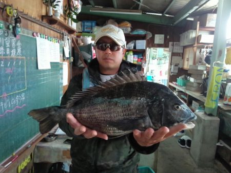 ふじや釣舟店 釣果