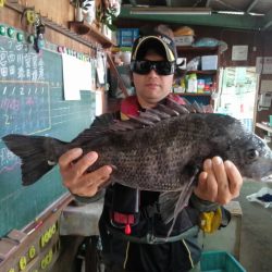 ふじや釣舟店 釣果
