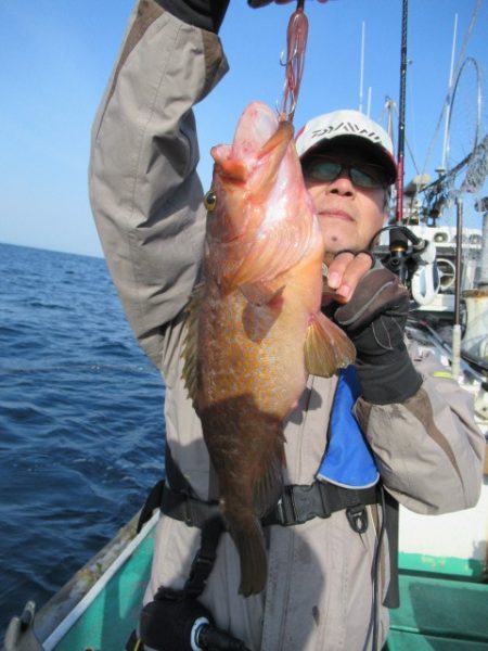 真祐丸 (しんゆうまる) 釣果