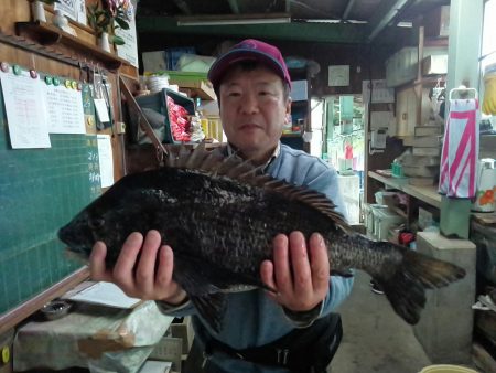 ふじや釣舟店 釣果
