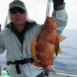 真祐丸 (しんゆうまる) 釣果