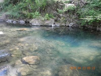 秩父フライフィールド 釣果