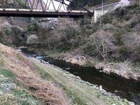 秩父フライフィールド 釣果