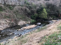 秩父フライフィールド 釣果