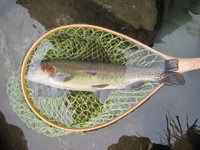 秩父フライフィールド 釣果