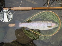 秩父フライフィールド 釣果