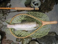 秩父フライフィールド 釣果