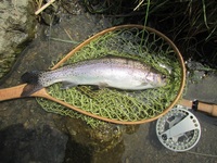 秩父フライフィールド 釣果