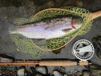 秩父フライフィールド 釣果