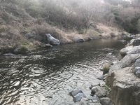 秩父フライフィールド 釣果