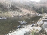 秩父フライフィールド 釣果