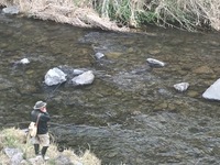 秩父フライフィールド 釣果
