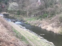 秩父フライフィールド 釣果