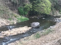 秩父フライフィールド 釣果