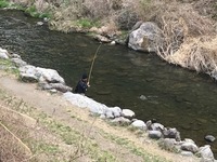 秩父フライフィールド 釣果