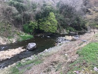 秩父フライフィールド 釣果