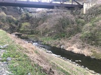 秩父フライフィールド 釣果