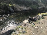 秩父フライフィールド 釣果