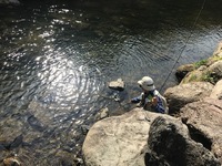 秩父フライフィールド 釣果