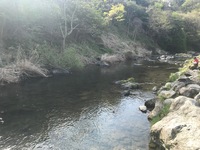 秩父フライフィールド 釣果