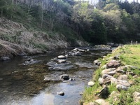 秩父フライフィールド 釣果