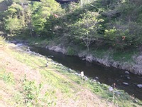 秩父フライフィールド 釣果