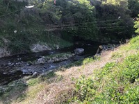 秩父フライフィールド 釣果