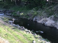 秩父フライフィールド 釣果