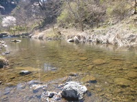 秩父フライフィールド 釣果