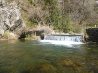 秩父フライフィールド 釣果