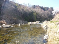 秩父フライフィールド 釣果