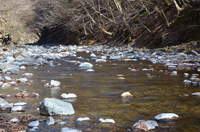 秩父フライフィールド 釣果