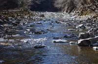 秩父フライフィールド 釣果