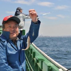 根岸丸 釣果