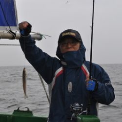 根岸丸 釣果