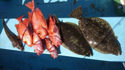 はじめ丸 釣果
