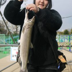 としまえんフィッシングエリア 釣果